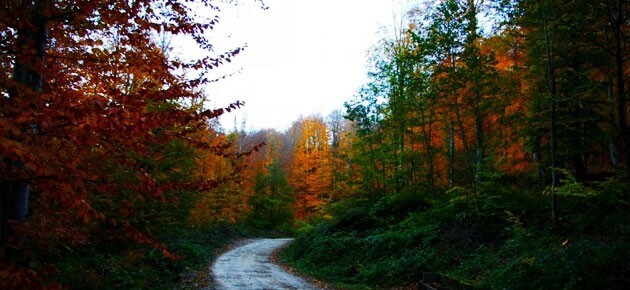 samsun nebiyan