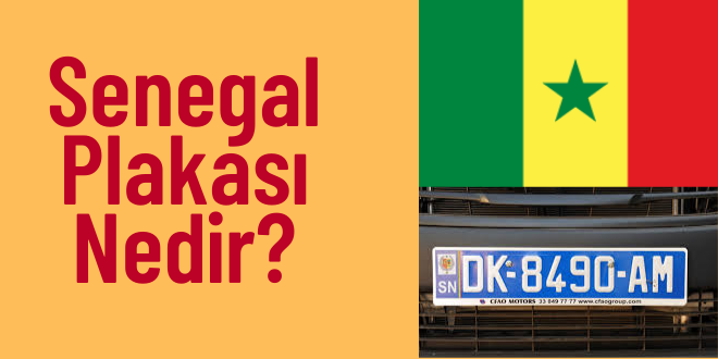 sn nerenin plakası