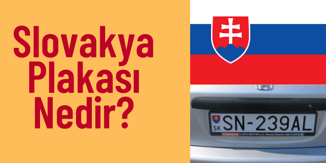 sk nerenin plakası