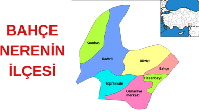 bahçe