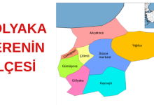 GÖLYAKA İLÇESİ