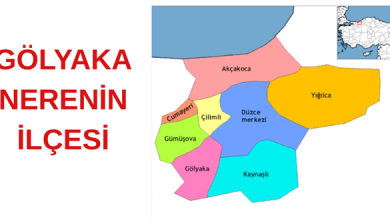 GÖLYAKA İLÇESİ