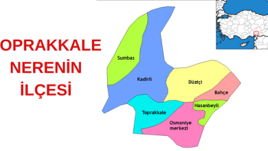 toprakkale